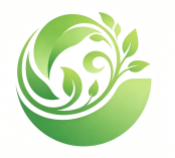 瑶瑶游戏网